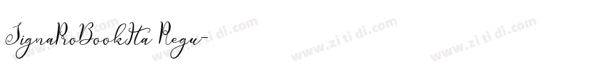 SignaProBookIta Regu字体转换